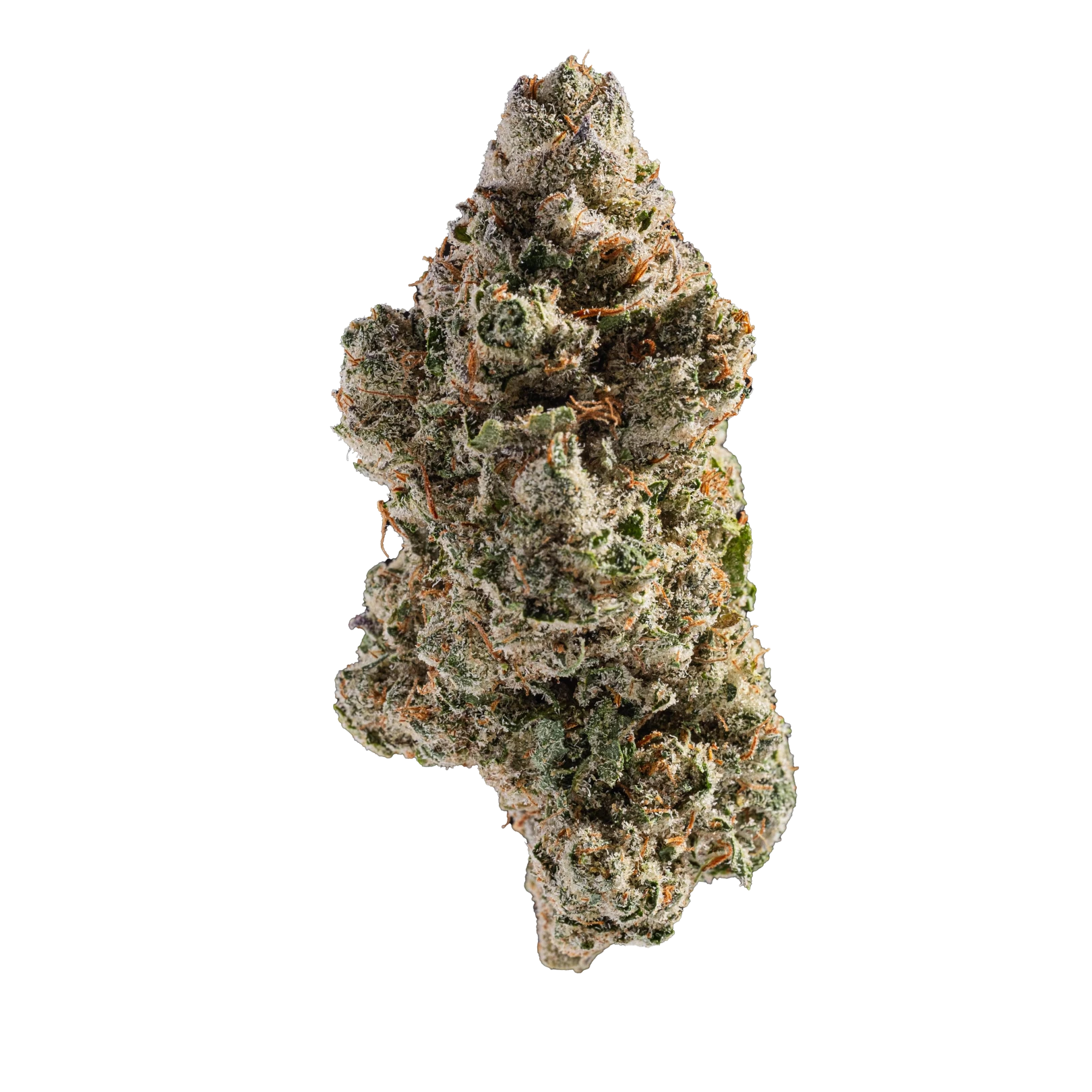 Sapphire Kush