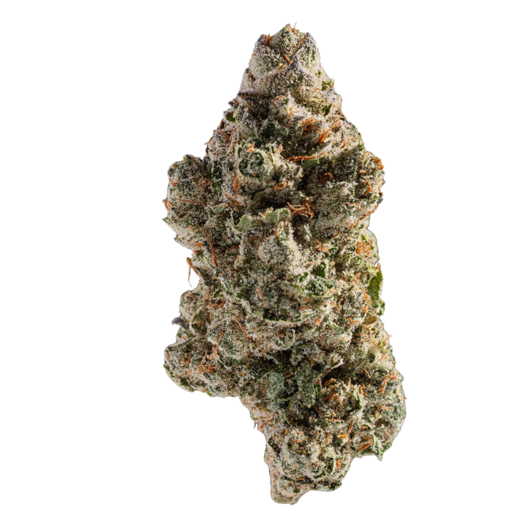 CBD Blüten - Snowing in Dam - 1 Gramm